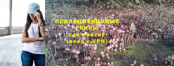 PSILOCYBIN Гусиноозёрск
