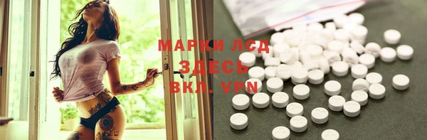 PSILOCYBIN Гусиноозёрск