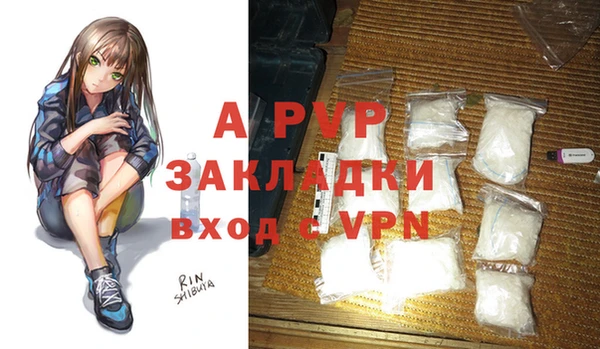 PSILOCYBIN Гусиноозёрск