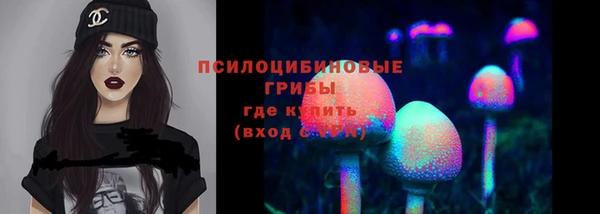 СК Гусь-Хрустальный