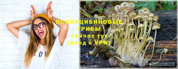 PSILOCYBIN Гусиноозёрск