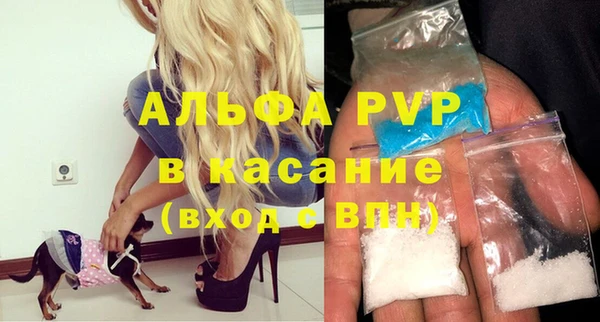 PSILOCYBIN Гусиноозёрск