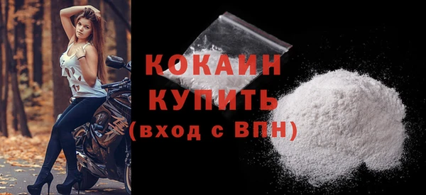 СК Гусь-Хрустальный