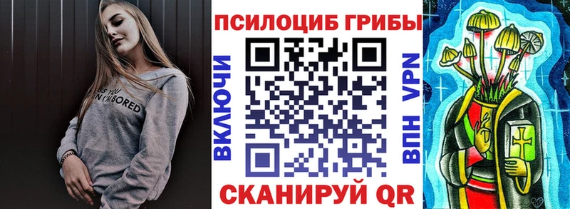 Псилоцибиновые грибы Psilocybe  Купить где  Зуевка 