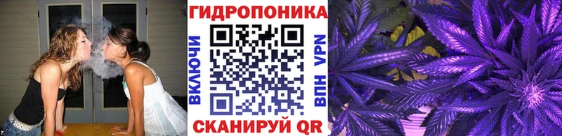 Купить закладки  Зуевка  Бошки Шишки семена 